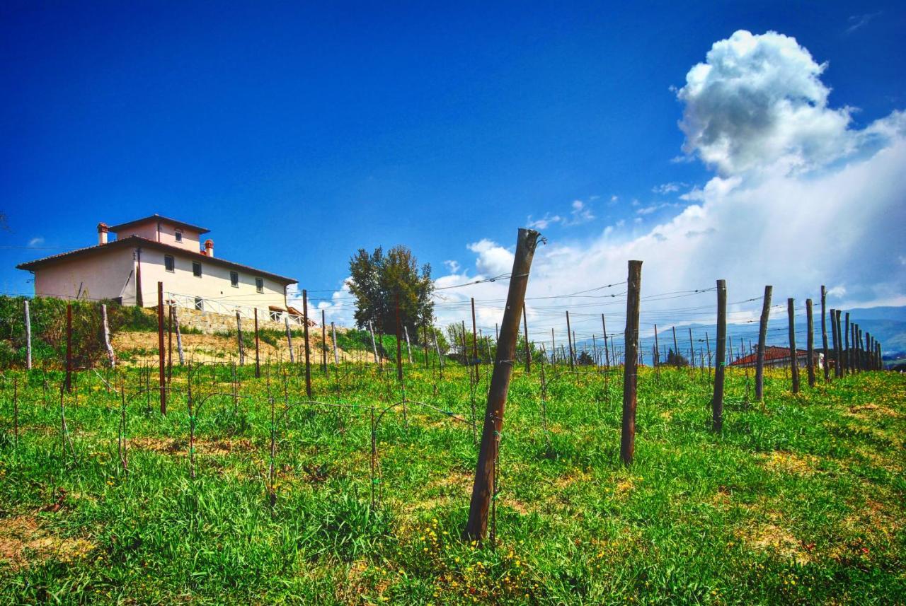 La Valle B&B Cavriglia Exterior foto