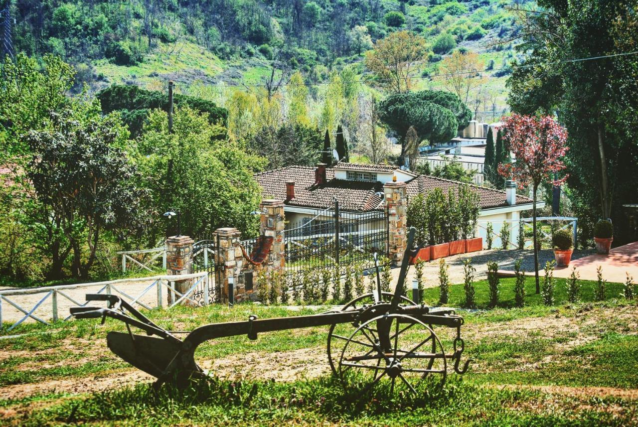 La Valle B&B Cavriglia Exterior foto